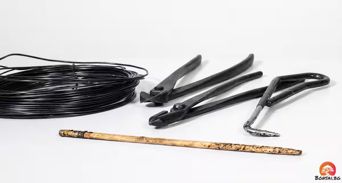 Подготовка на инструментите за пресаждане на бонзай Кармона