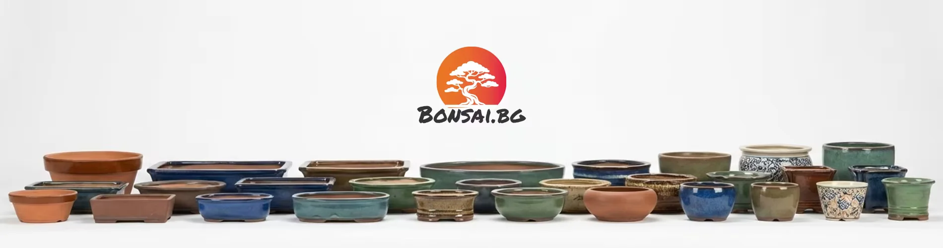 Бонсай саксии 